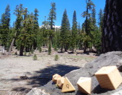 地球に５つしかない「正多面体」に聴く　シュタイナー教育と自然療法