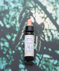 ASPEN　アスペン