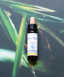 WILD OAT　ワイルドオート