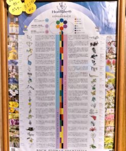 バッチフラワー・カラーポスター(日本語訳版)