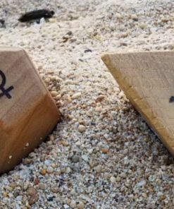 フェレール【クプ＆ギプ２個セット】